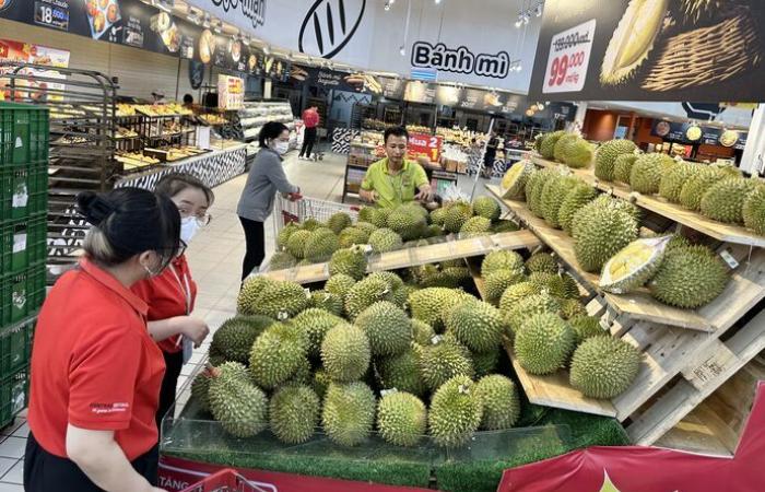 el lugar de encuentro ineludible para los profesionales de la horticultura