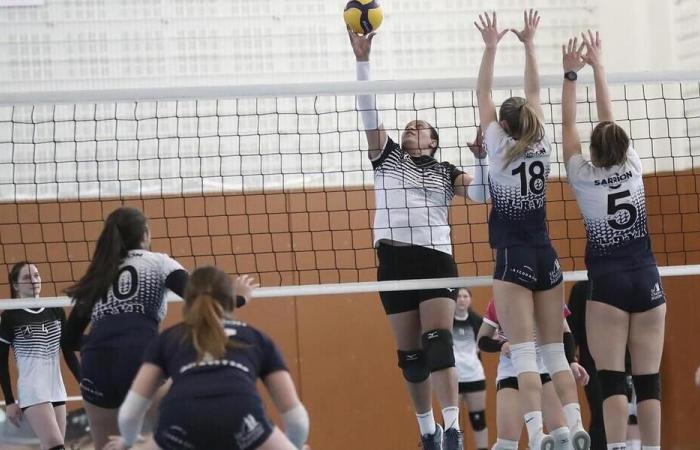 Voleibol. N2F: tras su sorprendente victoria ante el Vézily, Angers está cada vez más cerca de mantenerse