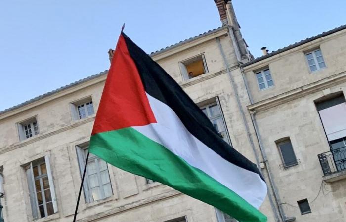 Michaël Delafosse anuncia un viaje a Palestina