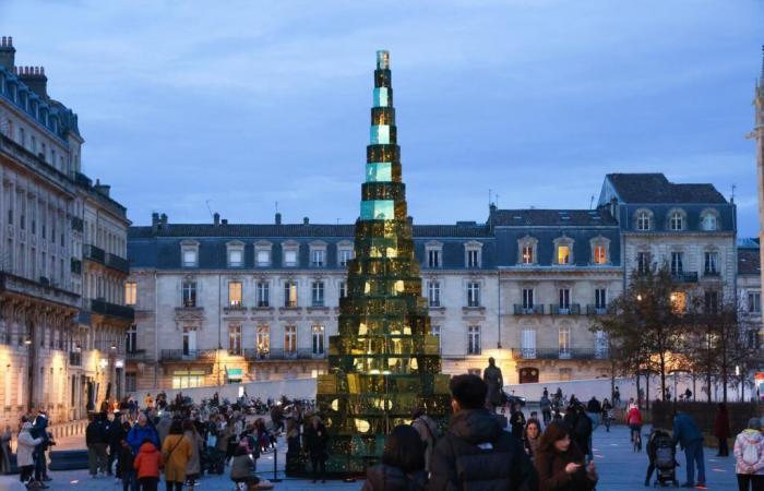 Los ayuntamientos ya no saben a qué árbol recurrir