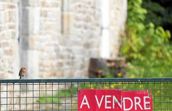 Inmobiliaria en Rennes: las razones de la crisis