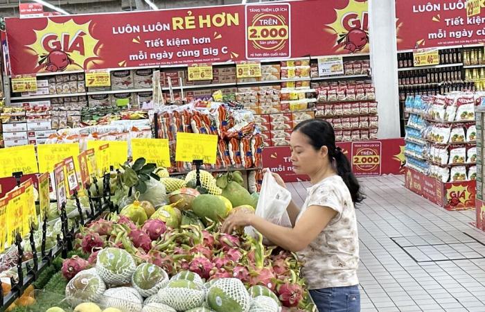 el lugar de encuentro ineludible para los profesionales de la horticultura