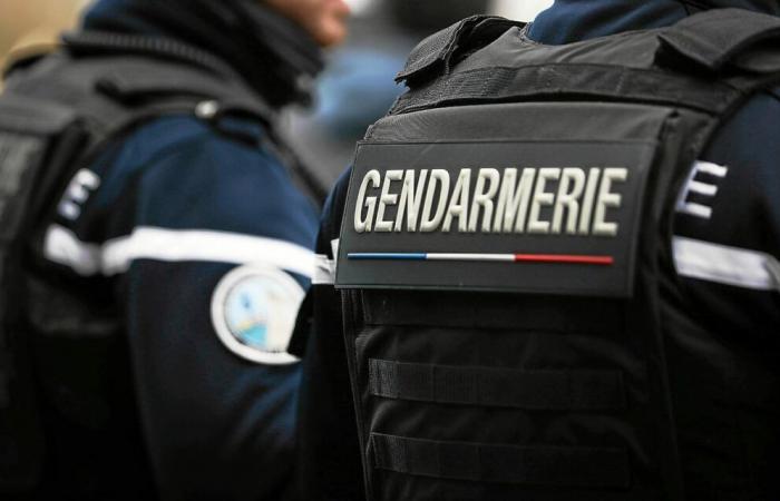 Hombre atropellado mortalmente por un coche cerca de Rennes: una convocatoria de testimonio lanzada por la gendarmería