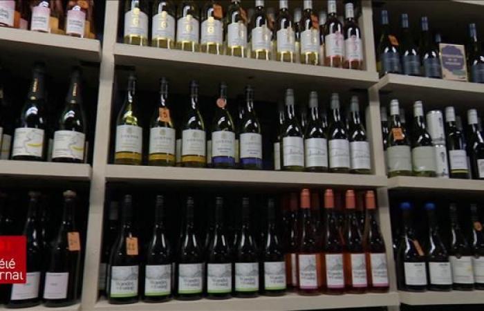 “Ahora tenemos muchas opciones”: los jóvenes beben cada vez más bebidas no alcohólicas