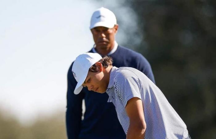 Un título al alcance de Tiger Woods