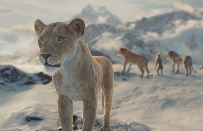 ‘Mufasa’ decepciona en taquilla. El rey león de Disney estaba llamado a arrasar estas Navidades pero se estrella contra el erizo de Sega