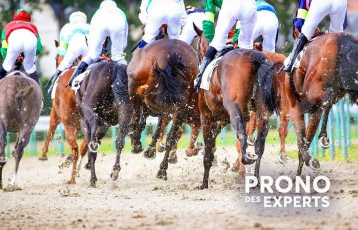 Predicciones de expertos para el encuentro 1 en Deauville este lunes 23 de diciembre