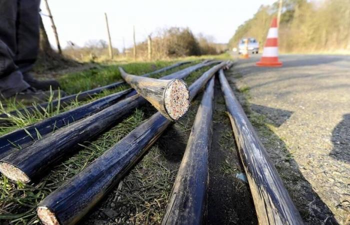 Una serie de robos de cables resueltos en Saumur: cinco hombres condenados