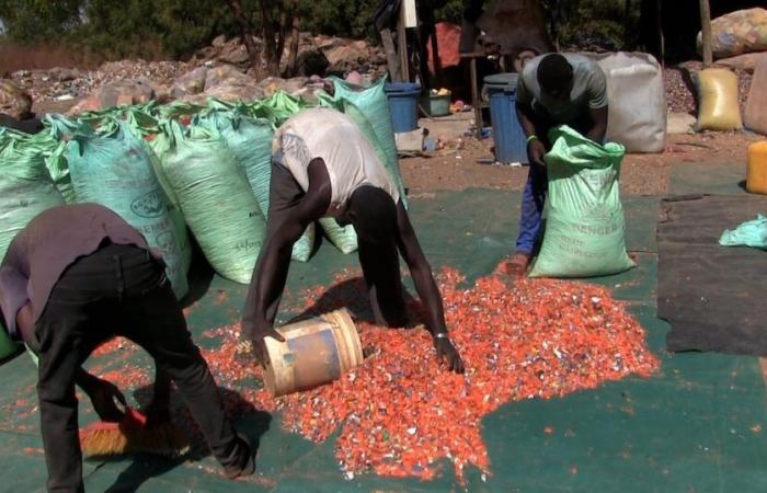 Burkina Faso: “Vivir dignamente gracias a la valorización de residuos”, Salif Tapsoba demuestra que es posible