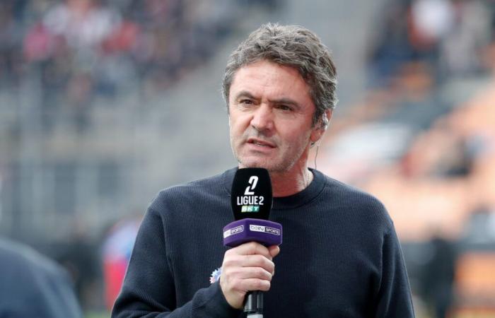 SM Caen – “Inevitablemente ascenderán en la clasificación”: la opinión de Sylvain Ripoll (Guingamp) en el Stade Malherbe antes del partido de la Copa de Francia