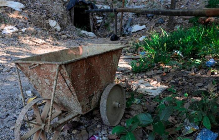 Primera luz verde para el relanzamiento de la minería