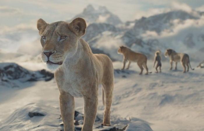 Mufasa – El Rey León supera los 2,5M – La taquilla del sábado 21 de diciembre