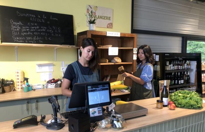 Información del recorrido | Cervezas, frutas y verduras… Una nueva forma de consumir local en Saint-Avertin