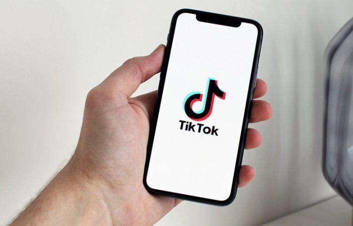 “TikTok es un matón que esparce porquería y barro”… La aplicación china prohibida un año en Albania tras la muerte de un adolescente de 14 años