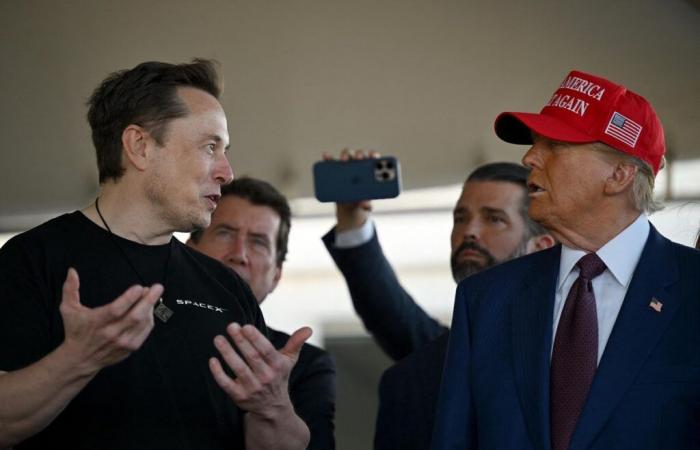 Estados Unidos: ¿presidente Musk? “No puede serlo”, dice Trump