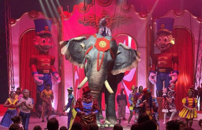 Lindo. Este circo con animales falsos está en marcha, una “innovación global” por descubrir