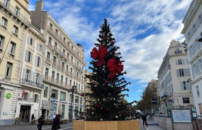 ¿Cómo será el clima en Navidad? Las predicciones de un experto