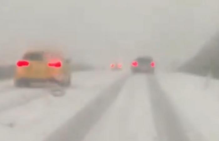 VIDEO. “¡Un fenómeno meteorológico sin precedentes!” : “¡En unos momentos todo se puso blanco a pesar de que hacía 7 grados!”, una “tormenta de nieve” cayó sobre los automovilistas en la autopista