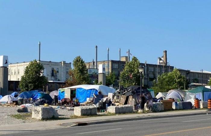 Las desigualdades de ingresos y riqueza alcanzan récords en Canadá