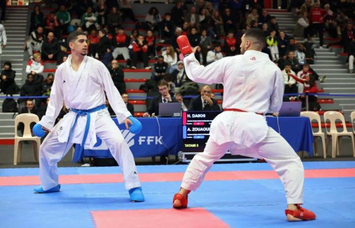 Karate Copa de Francia en Lille