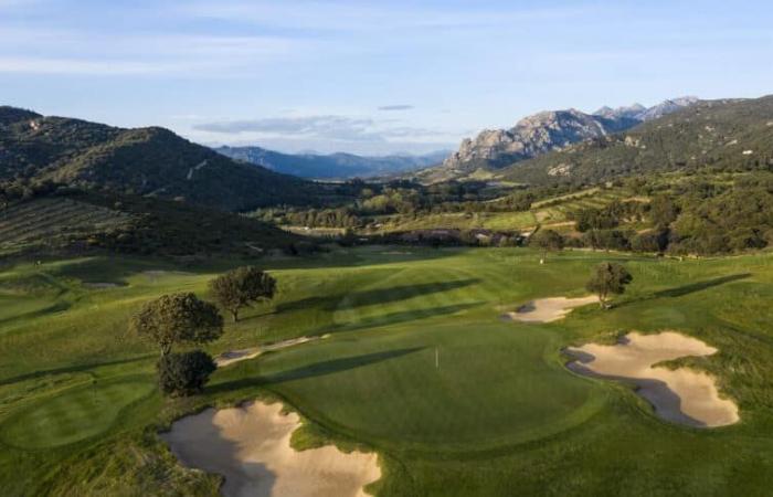 La finca Murtoli se está expandiendo