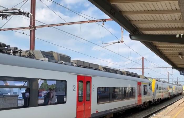 Bélgica. Un “hola” en un tren visto como una provocación en Flandes [Vidéo]