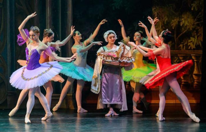 Juego Gana tus entradas para el ballet “La Bella Durmiente” en Toulouse.