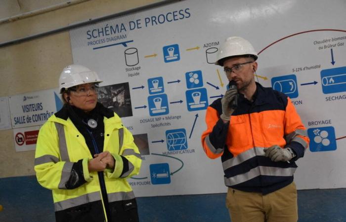 En Saint-Malo, Timac Agro apuesta por las calderas de biomasa para descarbonizar su producción