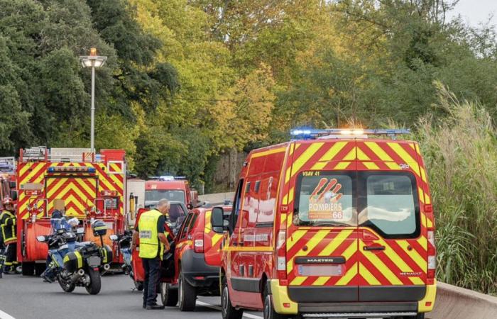 hombre muere aplastado por un árbol