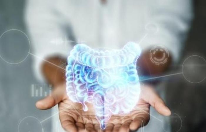 ¿Podría una molécula intestinal frenar el envejecimiento?