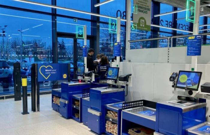 León. Lidl quiere abrir una nueva tienda en el distrito 7