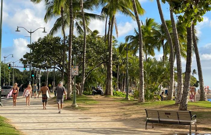 PAX a destino: Air Canada Vacations destaca la isla de Oahu