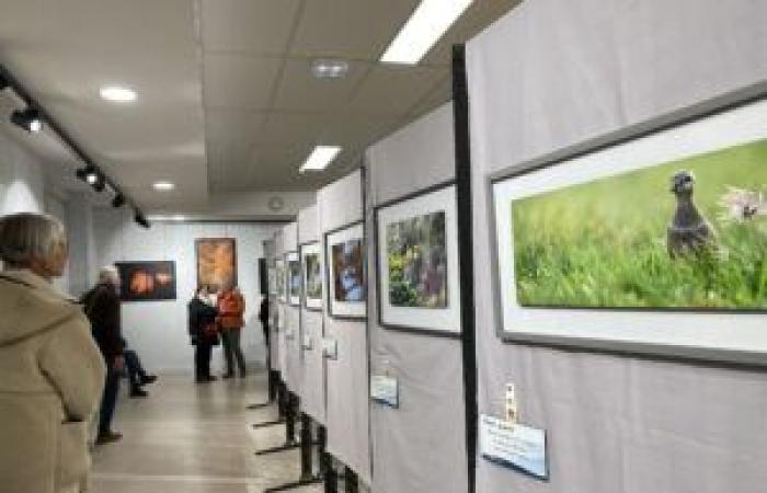 Exposición – Teddy y Didier Bracard son los invitados de los Rencontres Nature en Images 2024