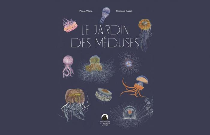 El jardín de las medusas de Paola Vitale y Rossana Bossù ⋆ Conocimiento Animal