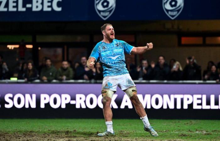 Top 14 – Montpellier “ya no quiere mirar hacia abajo”