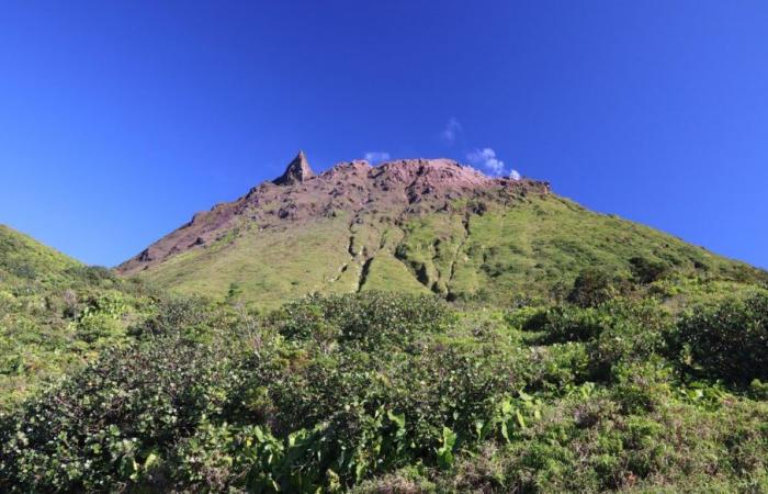 Las entrañas del volcán Soufrière en Guadalupe mapeadas en 3D