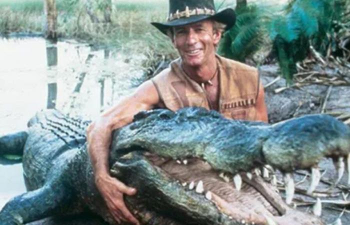 El icónico cocodrilo de 16 pies y 110 piedras de la película Crocodile Dundee muere a los 90 años después de protagonizar con Paul Hogan mientras llegan los tributos