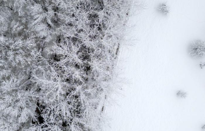 La nieve perturba el tráfico por carretera y ferrocarril en Suiza