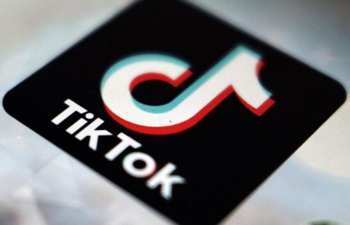 Albania: el gobierno prohíbe TikTok durante un año, lo que enfurece a los usuarios jóvenes