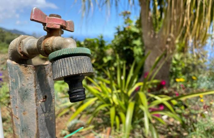 la prefectura toma medidas para restringir el uso del agua