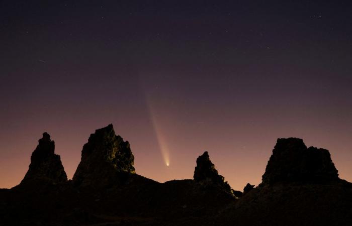 Gran año para… el cosmos