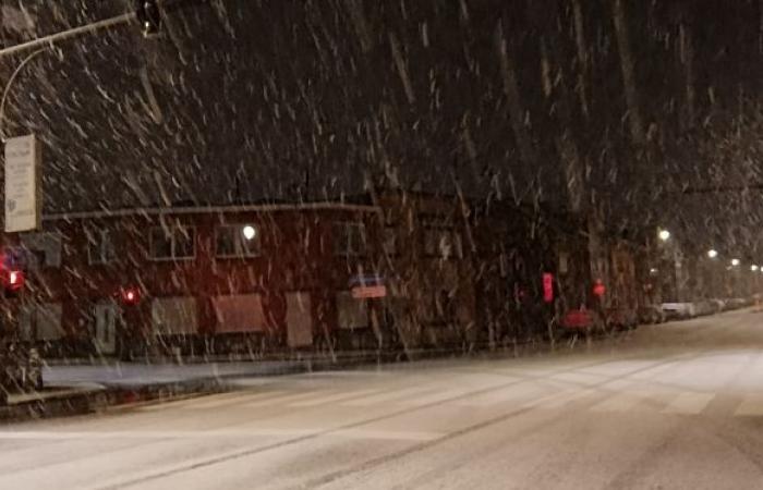 “Grandes caídas en Lieja”, “Una hermosa bata blanca”: la nieve cubre parte del país este lunes por la mañana