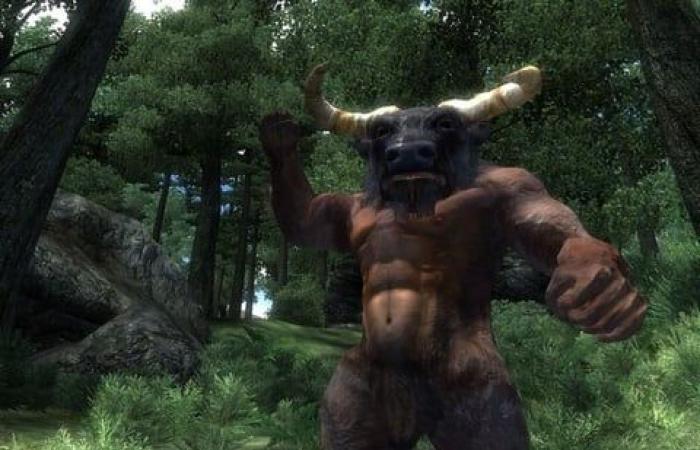 Antes de The Elder Scrolls 6, los creadores de Skyrim podrían lanzar una nueva versión de este querido episodio en 2025