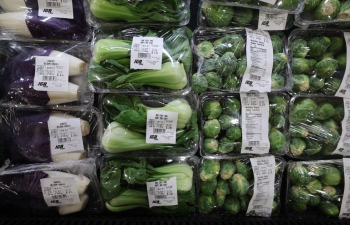 Contaminación plástica | Se cuestionan los envases de frutas y verduras