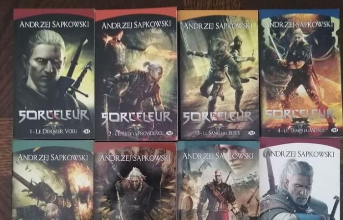 The Witcher 4: “La respuesta está en los libros”, CD Projekt se pronuncia sobre la polémica en torno a Ciri