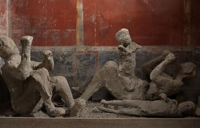 Las víctimas de Pompeya no son quienes pensábamos, revela un análisis de ADN