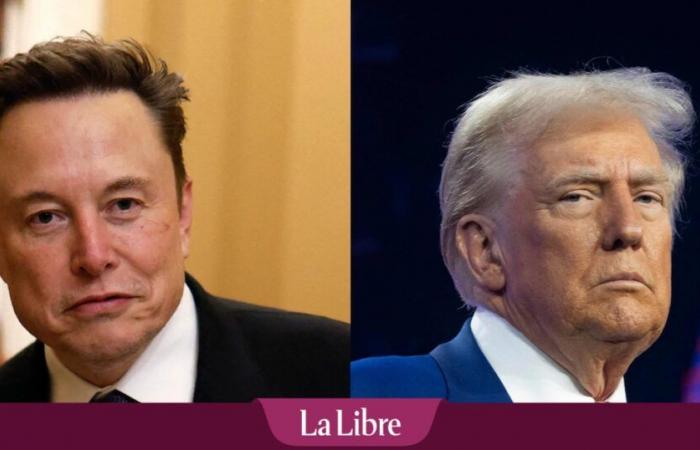 ¿Primera tensión entre Donald Trump y Elon Musk? “Él no nació en este país”