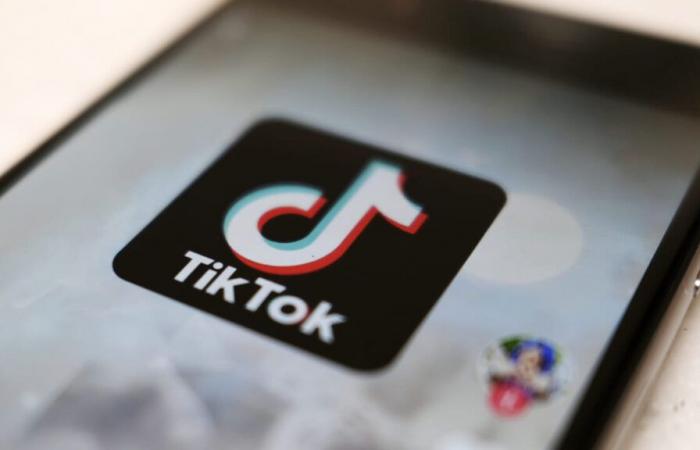 Albania bloquea el acceso a TikTok durante un año en todo el país: he aquí por qué