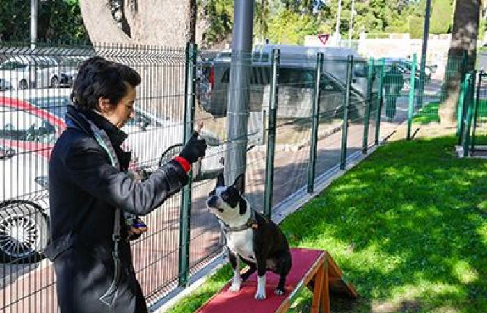 Cannes inaugura su primer parque para perros, rue du Lys