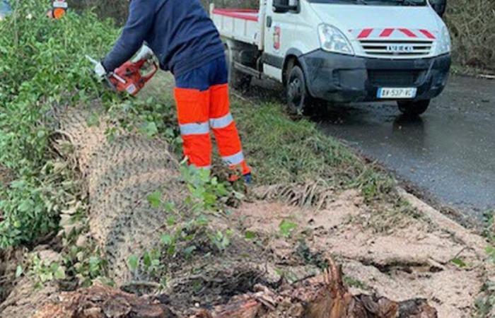 Giraumont. Un árbol cortó la carretera entre Vallières y Beaumont